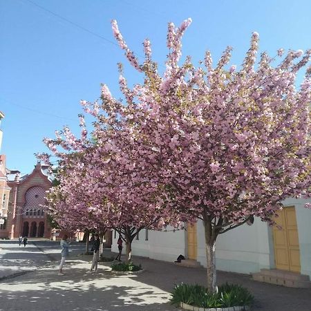 Затишна Двокімнатна Квартира В Самому Серці Ужгорода Uzhhorod Bagian luar foto