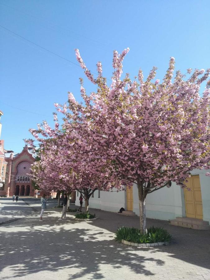 Затишна Двокімнатна Квартира В Самому Серці Ужгорода Uzhhorod Bagian luar foto